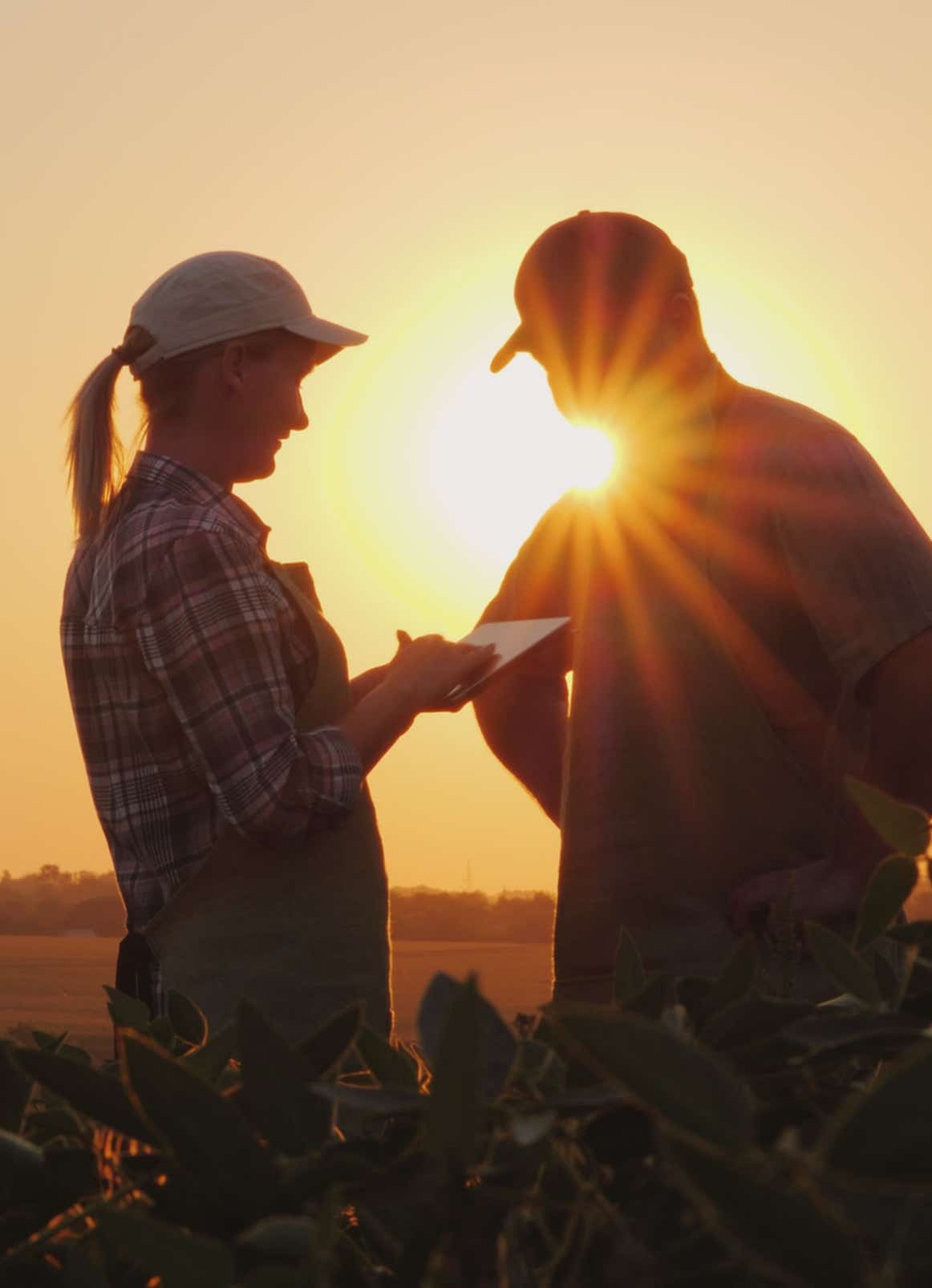 Farmers talking